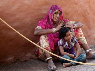 how lice are transmitted from person to person