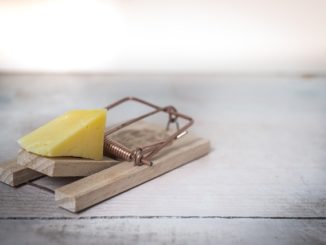 comment charger une souricière