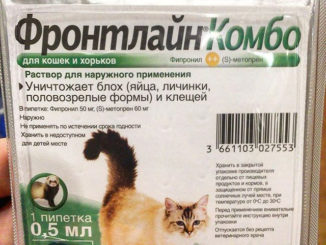 frontline for cats instructions for use